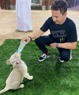 Jorge Lorenzo se cherche un boulot dans le paddock et ce ne sera donc pas gardien de zoo ...